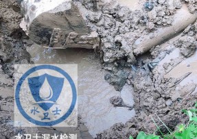汝南水管漏水检测公司5